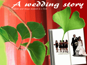 wedding-story-background